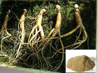 voordelen van Ginseng